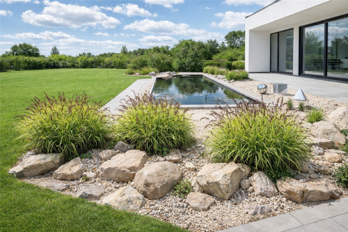 turzyca palmowa, sadzonki traw, ozdobnych, sklep z trawami ozdobnymi, trawy mrozoodporne, niska trawa ozdobna,