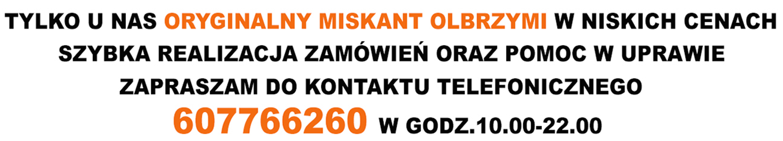 Miskant olbrzymi  tanio